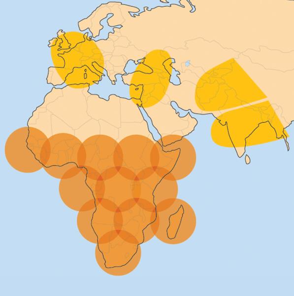 AMOS-17’s C-Band HTS enables provision of internet broadband services on one beam to a specific country, rather than using multiple beams for regional or full country HTS coverage