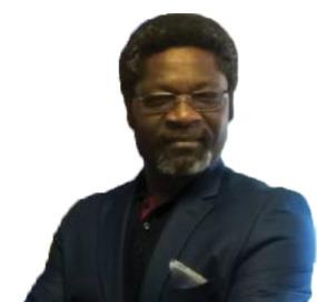 Casimir Berthier, Afrikanet
Group and GOSAT eAfrica